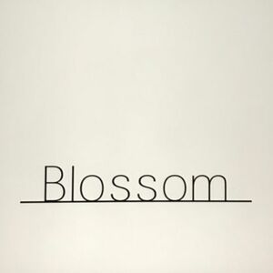 ヘアサロン：美容室Blossom(ブロッサム）朝霞台店 / スタイリスト：Blossom朝霞台のプロフィール画像