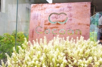 Cocoon 表参道の写真