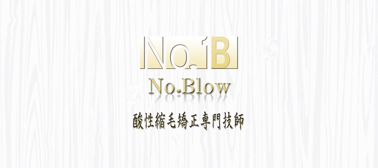 株式会社No.Blow 酸性縮毛矯正専門技師の画像